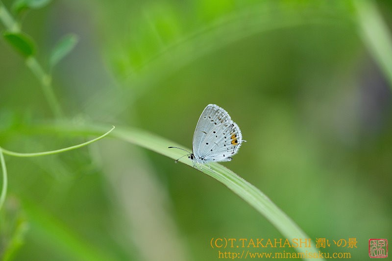 ../Images/7R240804 (174).jpg